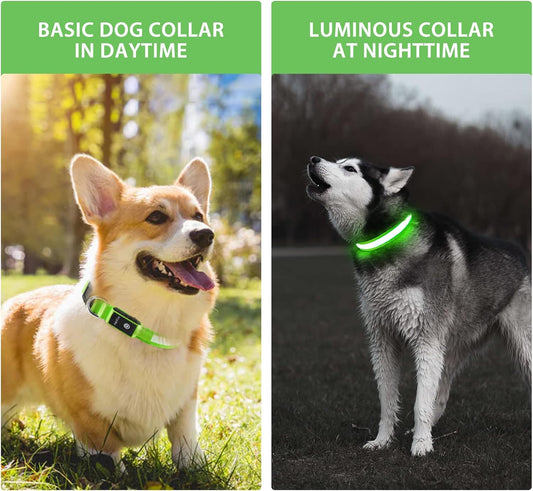PcEoTllar Light up Dog Collar, Safe for Night Walking, Adjustable, Green, M