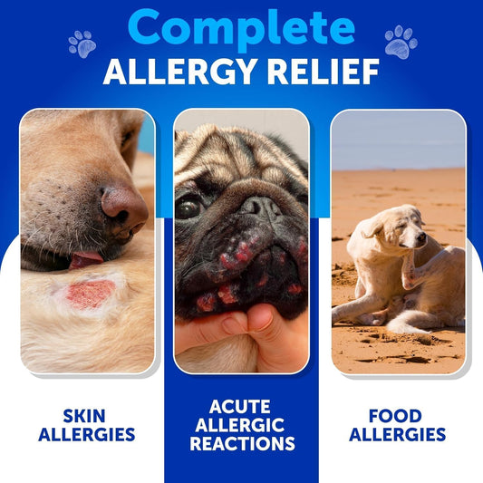Dog Allergy Chews - 70 Treats - Itch Relief for Dogs - For Skin & Coat