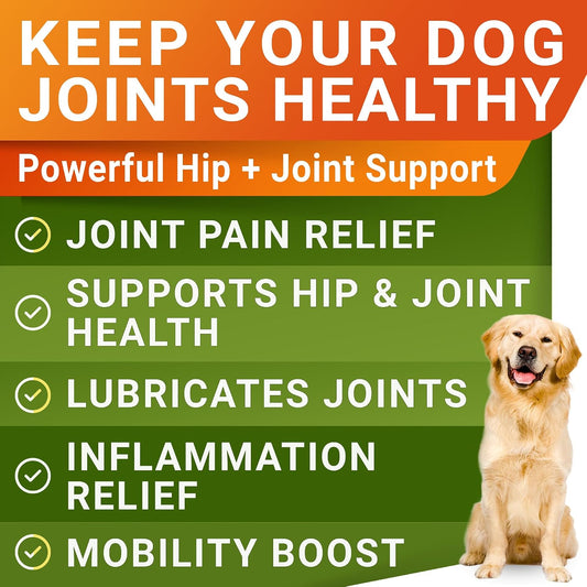 Advanced Glucosamine for Dogs, Chondroitin MSM Joint Supplement