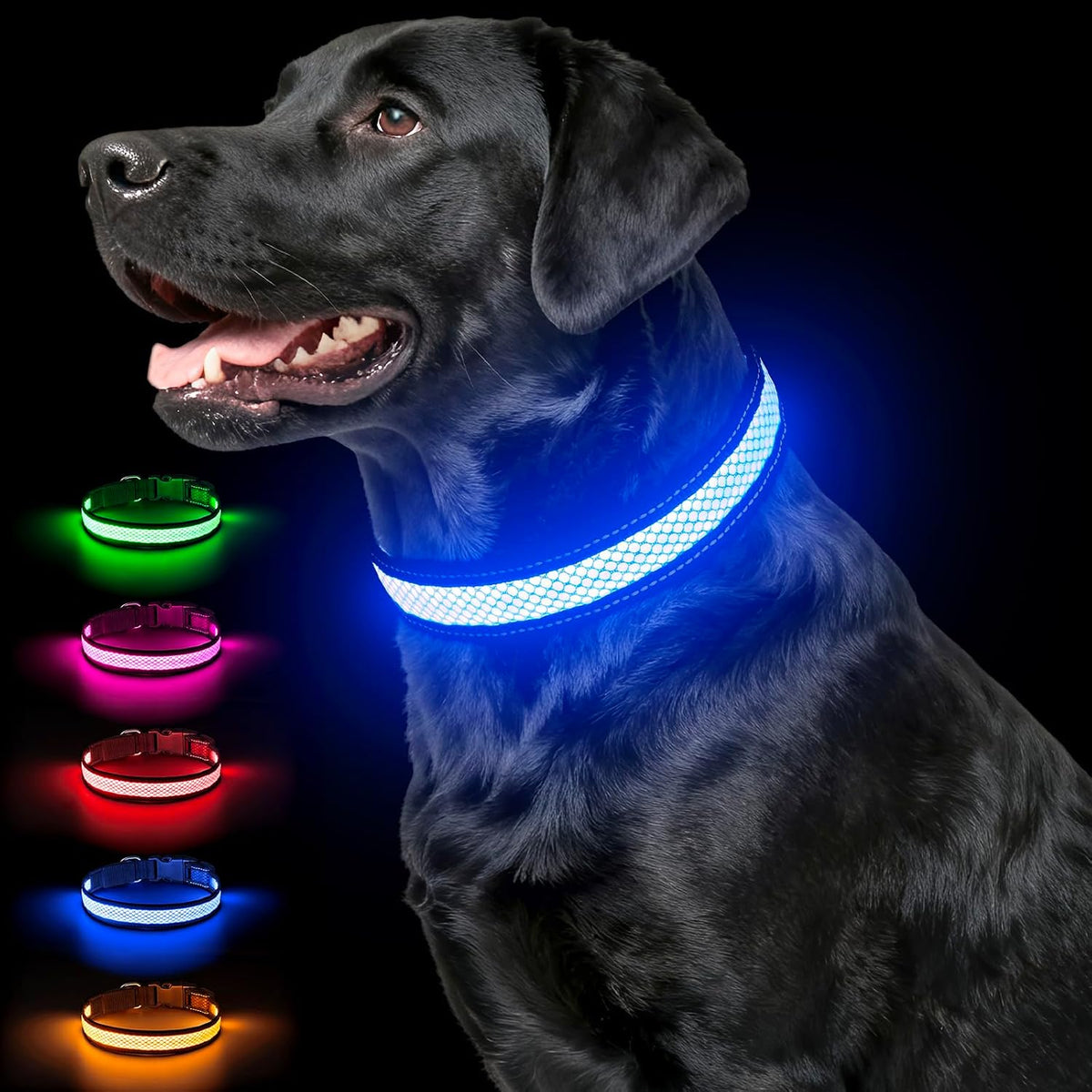 Multicolor Light Up Dog Collar, 5V Waterproof Led Dog Collar Rechargeable, 200 mAh Adjustable Glow in the Dark Dog Collars with 11 Light Modes for Small, Medium, Large Dogs Walk at Night (Large)