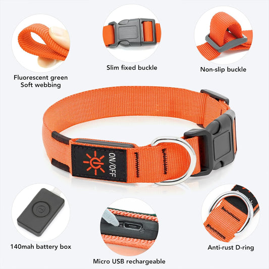 Light Up Dog Collar, Rechargeable USB Collar, Waterproof, Luminous LED Collar, Adjustable, Super Bright, Night Walking for Small Medium Large Dogs, Orange, M