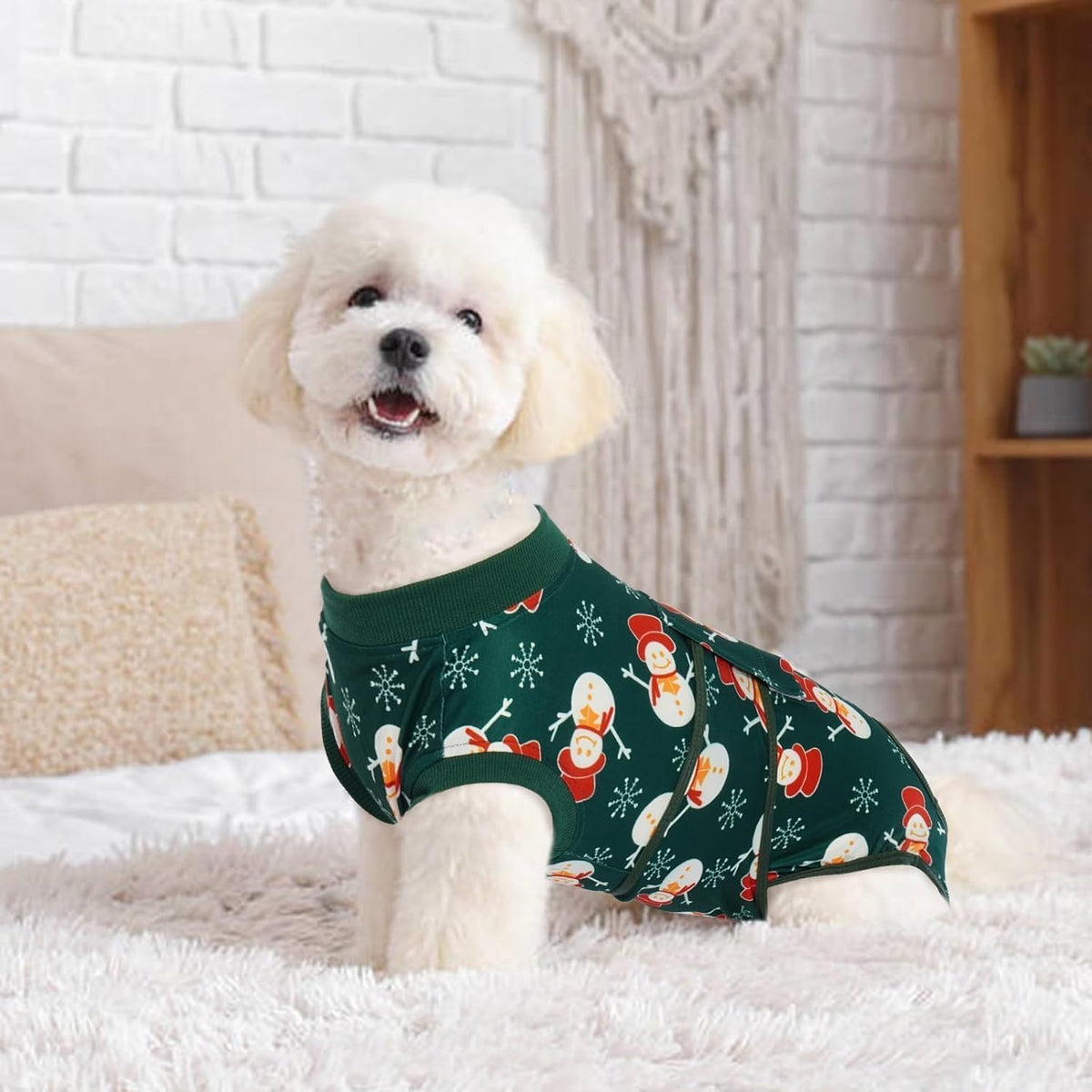 Recovery Suit for Dogs After Surgery, Female Dog Onesie for Surgery
