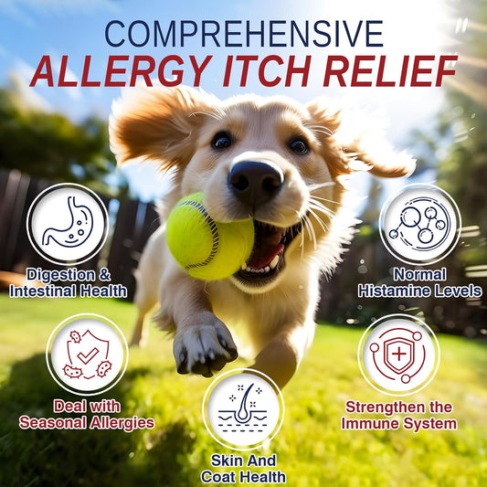 Dog Allergy Chews 200 Treats, Dog Allergy and Itching Skin Relief Bites Itchy Skin and Itchy Ears Anti Itch Licking Paws Treatment for Dogs Seasonal Allergies