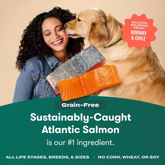 Grain Free Dry Dog Food - Real Salmon, Sweet Potato & Carrot, 4lb
