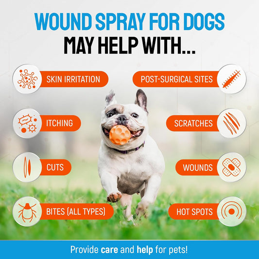 Dog Wound Spray Helps with Hot Spots, Irritations, Bites, Burns, Rashes, Itch, Scratching – Better Use with a Dog Cone to Stop Licking – Safe for Large and Small Breeds – 4 oz