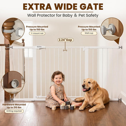 A Happy Life with Your Dog: Simple Joys Every Day