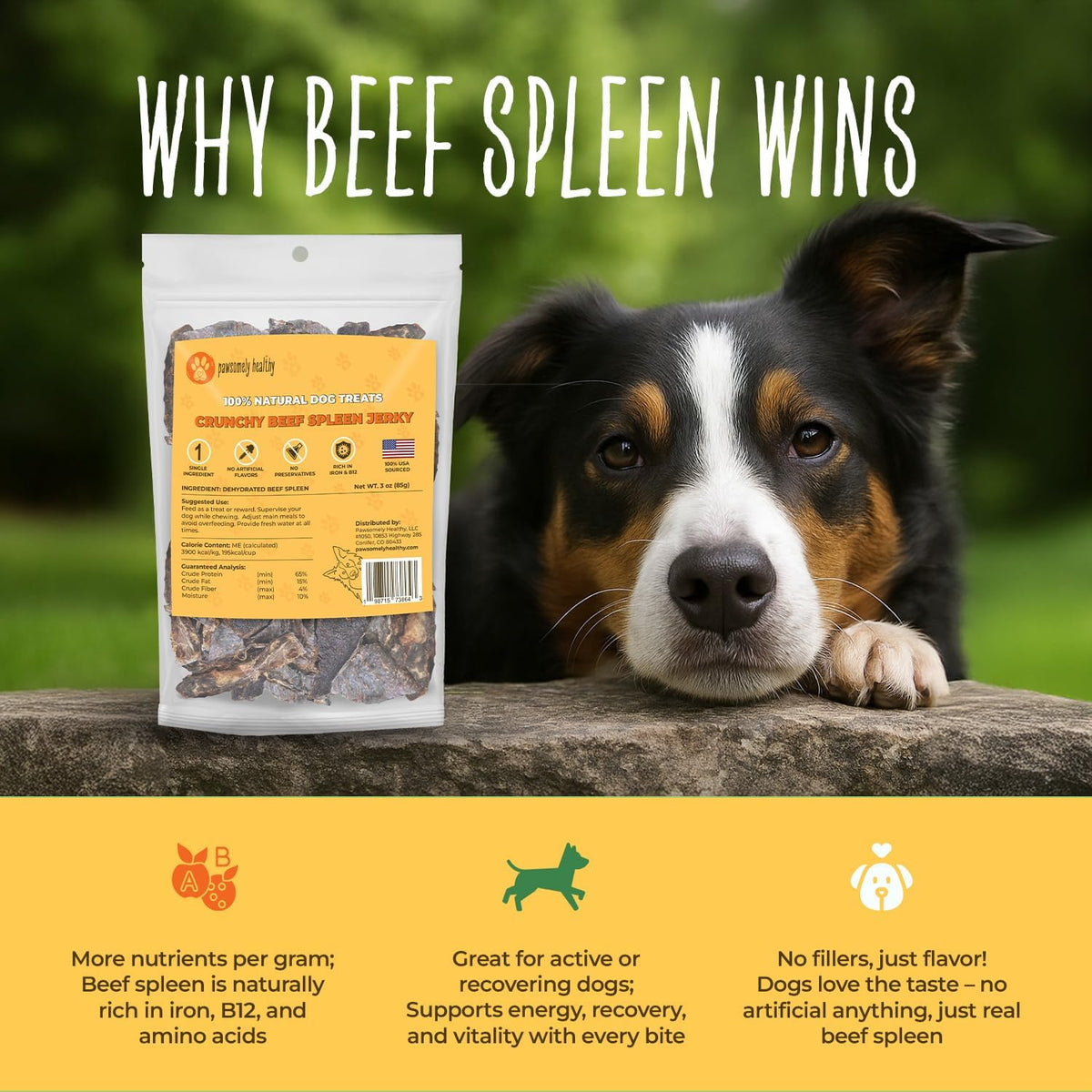 Air-Dried Beef Lung Dog Treats, 3.5 oz