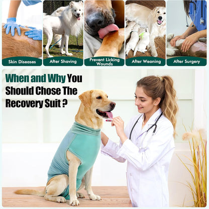 Dog Surgery Recovery Suit Dog Suit for Male Female Neuter Anti-Lick Abdominal Wounds Bite Protective Outfit Alternative E-Collar & Cone Breathable Spay Suit for Medium Large Dogs