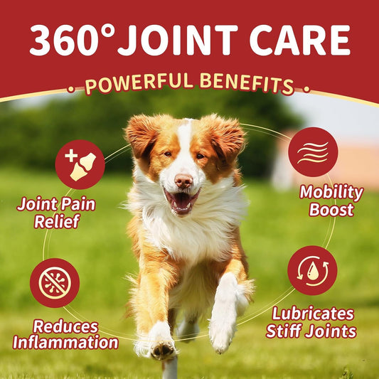 Glucosamine for Dogs, 120 Soft Chews, Chicken Flavor