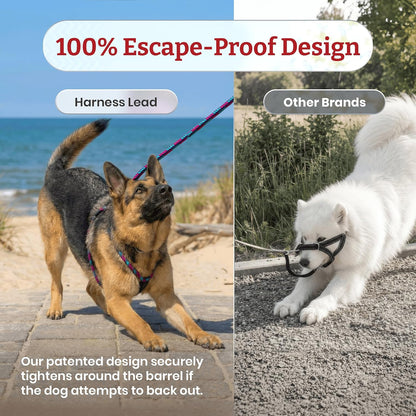 Escape Resistant, Reduces Pull Dog Harness, Medium/Large, Black