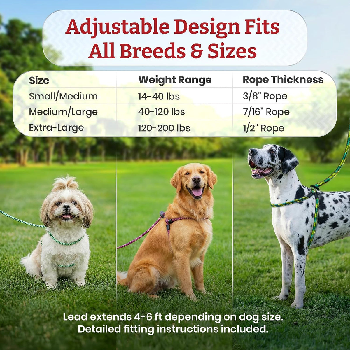 Escape Resistant, Reduces Pull Dog Harness, Medium/Large, Black