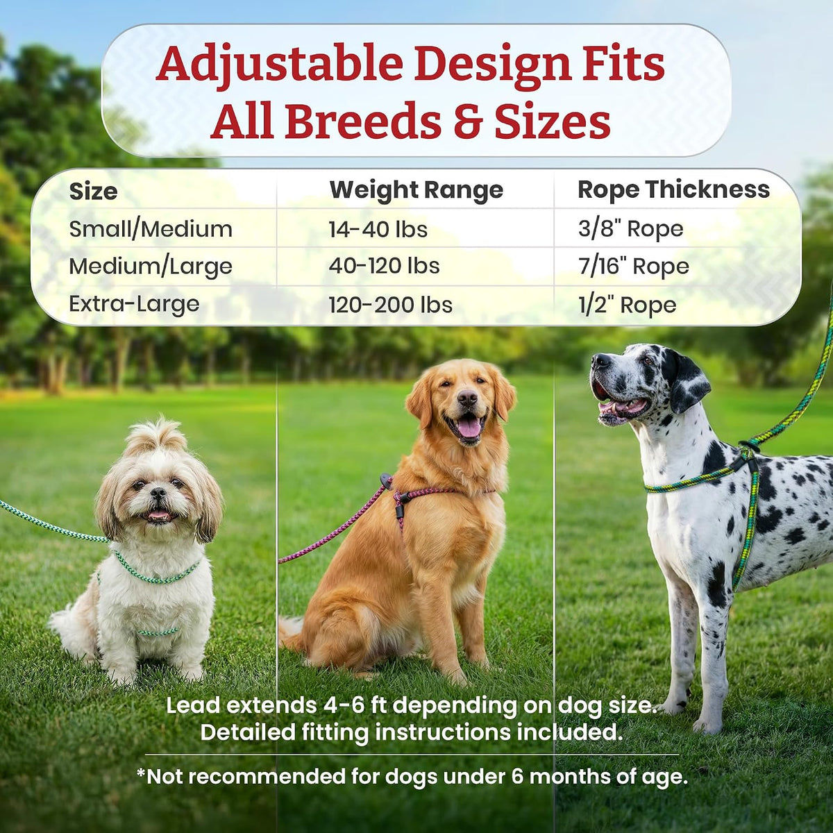 Escape Resistant, Reduces Pull Dog Harness, Medium/Large, Black