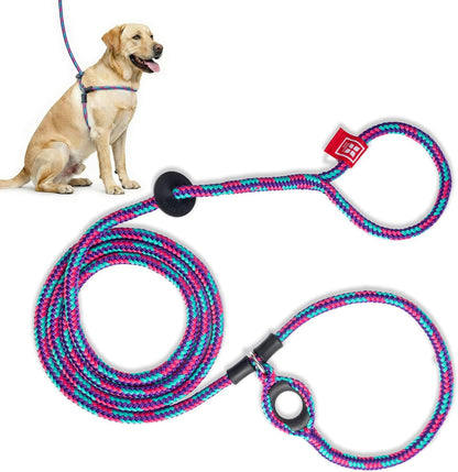 Escape Resistant, Reduces Pull Dog Harness, Medium/Large, Black