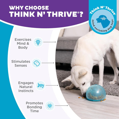 Snoop Interactive Treat Dispensing Dog Toy, Blue, 5" | Rolls & Bounces, Treat Stuffer, Puzzle Ball & Slow Feeder, Enrichment, Mint Scented, Easy Clean, No BPA, Medium to Large Dogs