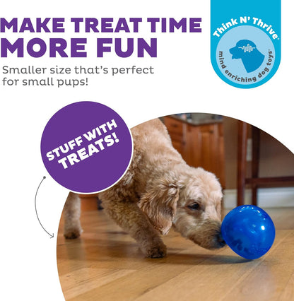 Snoop Interactive Treat Dispensing Dog Toy, Blue, 5" | Rolls & Bounces, Treat Stuffer, Puzzle Ball & Slow Feeder, Enrichment, Mint Scented, Easy Clean, No BPA, Medium to Large Dogs
