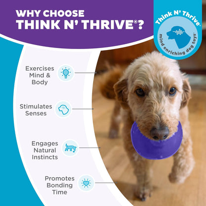 Snoop Interactive Treat Dispensing Dog Toy, Blue, 5" | Rolls & Bounces, Treat Stuffer, Puzzle Ball & Slow Feeder, Enrichment, Mint Scented, Easy Clean, No BPA, Medium to Large Dogs