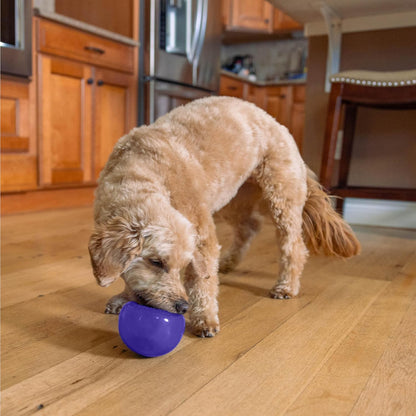 Snoop Interactive Treat Dispensing Dog Toy, Blue, 5" | Rolls & Bounces, Treat Stuffer, Puzzle Ball & Slow Feeder, Enrichment, Mint Scented, Easy Clean, No BPA, Medium to Large Dogs