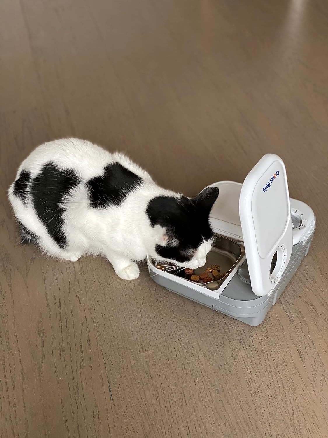 C200 Two-Meal Automatic Pet Feeder for Dry & Wet Food, 400g Each
