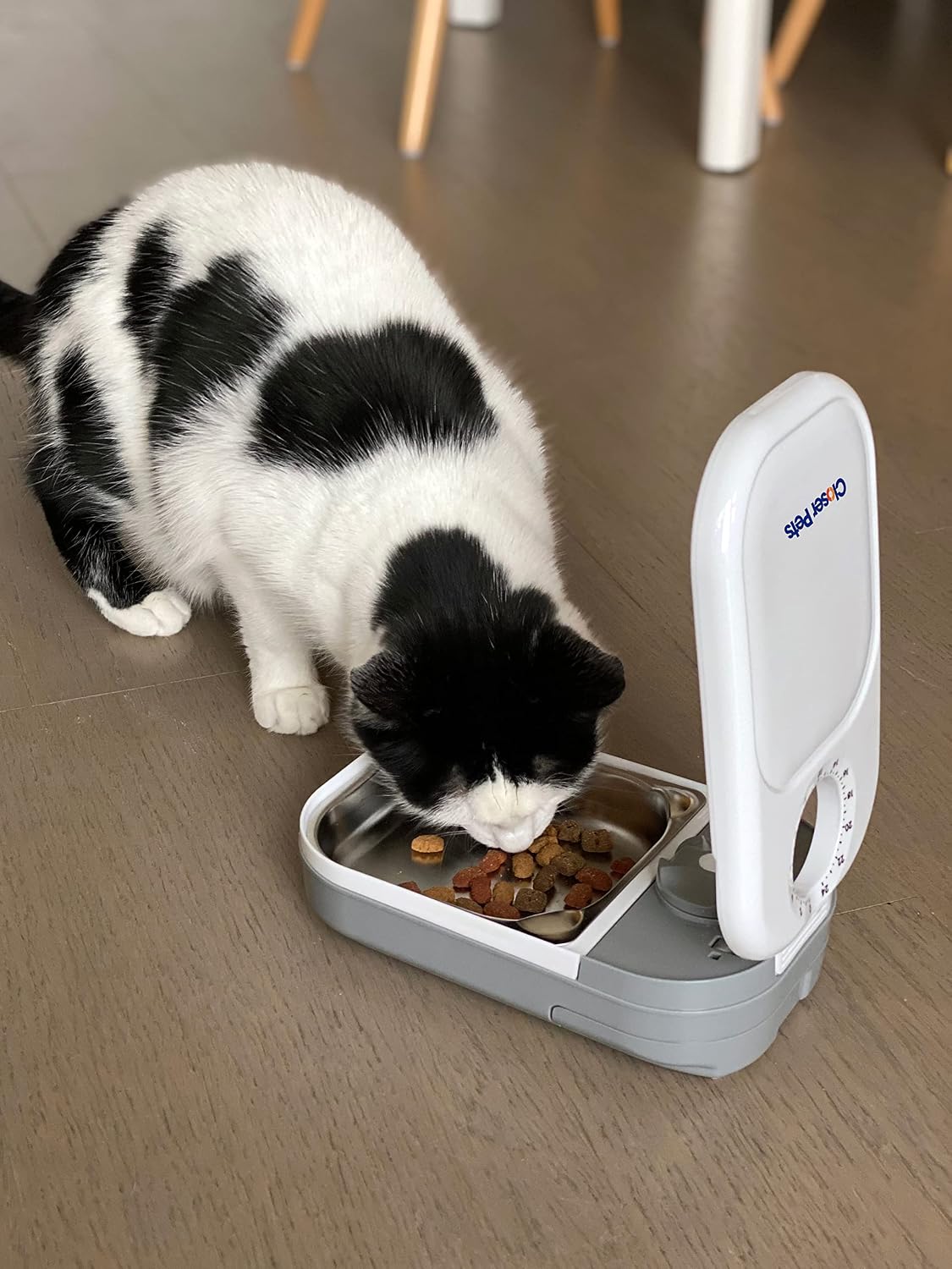 C200 Two-Meal Automatic Pet Feeder for Dry & Wet Food, 400g Each