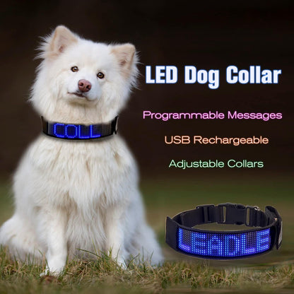Programmable LED Collar Flashing Light Up Rechargeable Pet Dog Safety Collar Glow in The Dark Light-up Neck Loop - Mixcolor LED