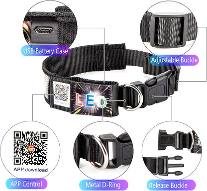 Programmable LED Collar Flashing Light Up Rechargeable Pet Dog Safety Collar Glow in The Dark Light-up Neck Loop - Mixcolor LED
