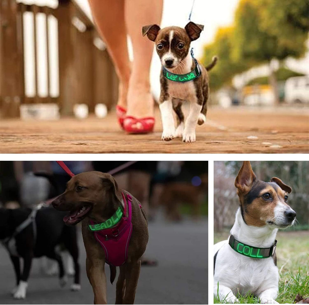 Programmable LED Collar Flashing Light Up Rechargeable Pet Dog Safety Collar Glow in The Dark Light-up Neck Loop - Mixcolor LED