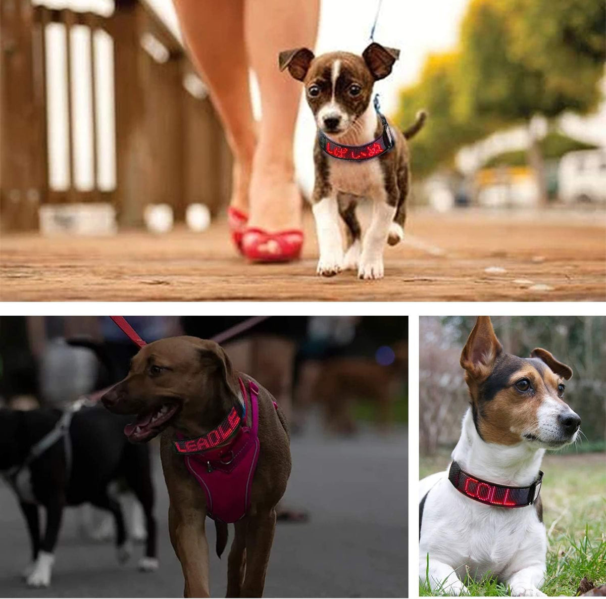 Programmable LED Collar Flashing Light Up Rechargeable Pet Dog Safety Collar Glow in The Dark Light-up Neck Loop - Mixcolor LED