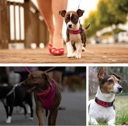 Programmable LED Collar Flashing Light Up Rechargeable Pet Dog Safety Collar Glow in The Dark Light-up Neck Loop - Mixcolor LED