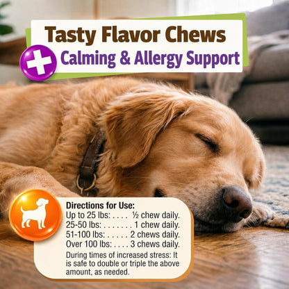 Allergy Plus Calming Soft Chews for Dogs, Support for Seasonal Allergies, Paw Licking, Itchy Skin, Everyday Stress, Skin Health & Immune Health, 60 Count