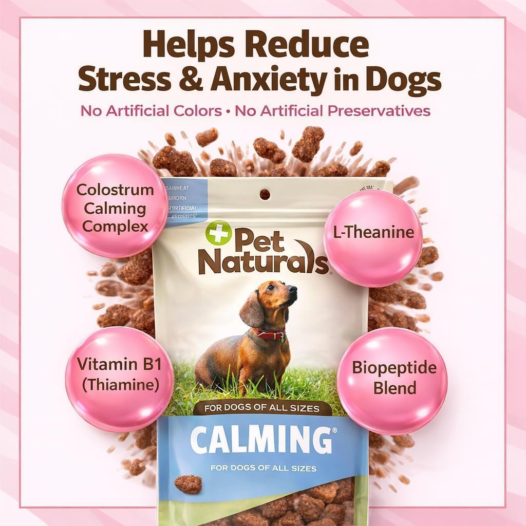 Allergy Plus Calming Soft Chews for Dogs, Support for Seasonal Allergies, Paw Licking, Itchy Skin, Everyday Stress, Skin Health & Immune Health, 60 Count