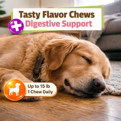 Allergy Plus Calming Soft Chews for Dogs, Support for Seasonal Allergies, Paw Licking, Itchy Skin, Everyday Stress, Skin Health & Immune Health, 60 Count