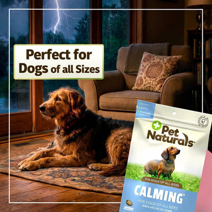 Allergy Plus Calming Soft Chews for Dogs, Support for Seasonal Allergies, Paw Licking, Itchy Skin, Everyday Stress, Skin Health & Immune Health, 60 Count
