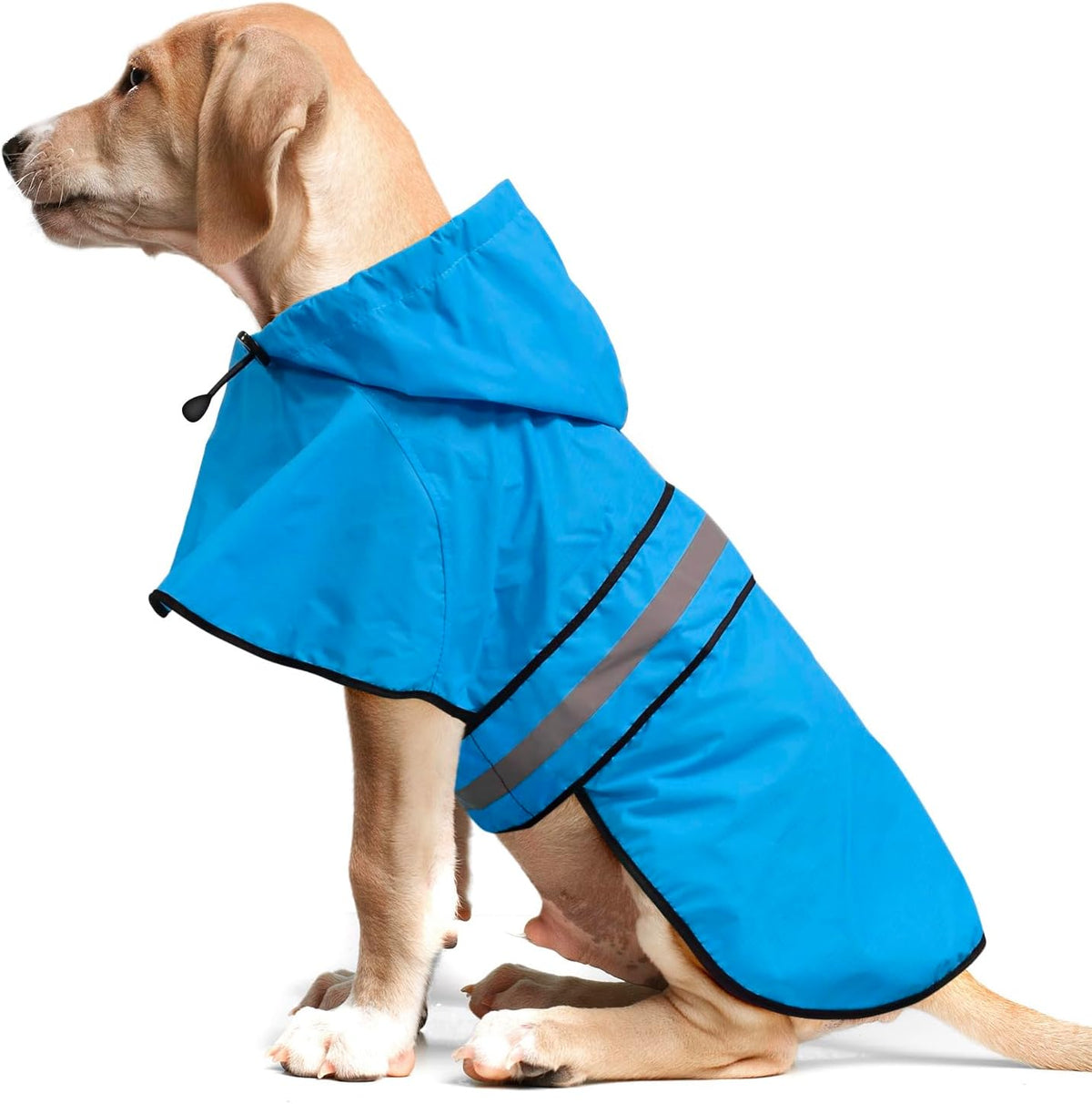 Dog Raincoat, Waterproof Dog Rain Jacket with Leash Hole, Hooded Puppy Rainwear Poncho Slicker for Walking (M, Blue)