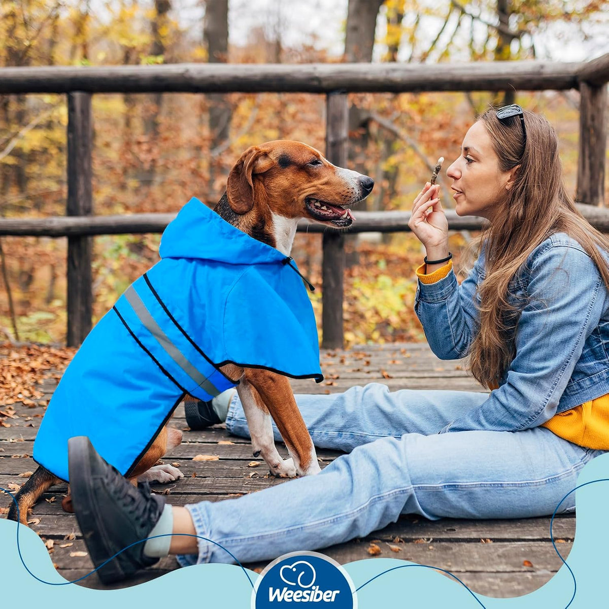 Dog Raincoat, Waterproof Dog Rain Jacket with Leash Hole, Hooded Puppy Rainwear Poncho Slicker for Walking (M, Blue)