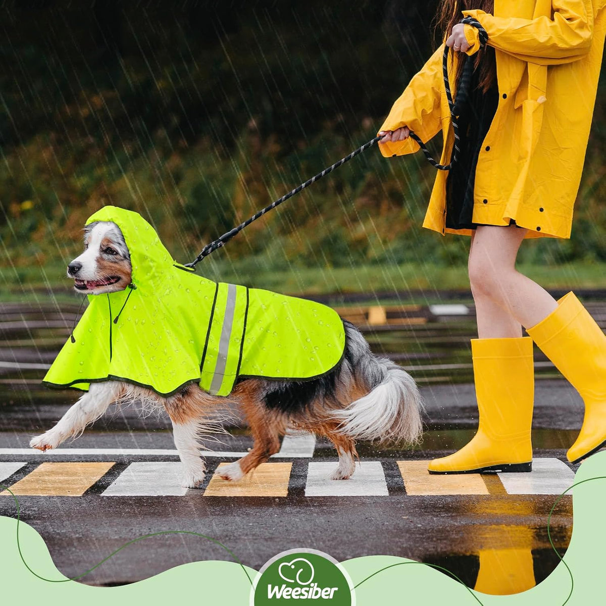 Dog Raincoat, Waterproof Dog Rain Jacket with Leash Hole, Hooded Puppy Rainwear Poncho Slicker for Walking (M, Blue)