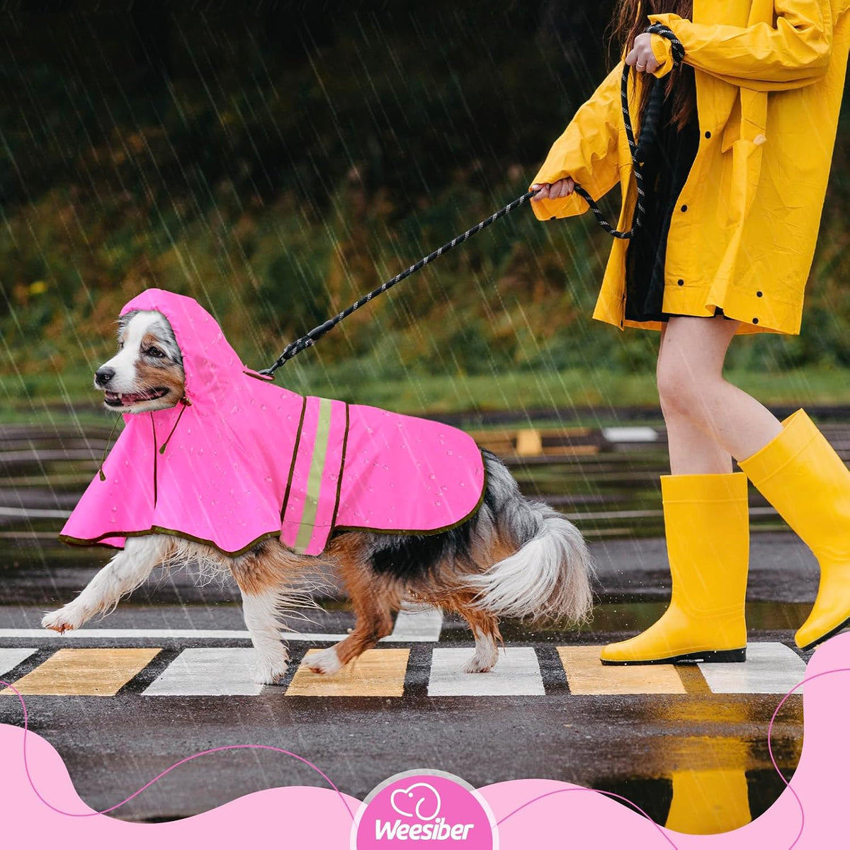 Dog Raincoat, Waterproof Dog Rain Jacket with Leash Hole, Hooded Puppy Rainwear Poncho Slicker for Walking (M, Blue)