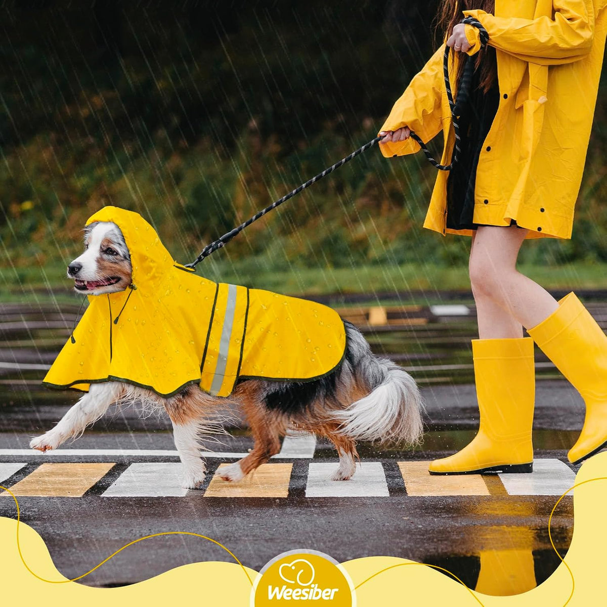 Dog Raincoat, Waterproof Dog Rain Jacket with Leash Hole, Hooded Puppy Rainwear Poncho Slicker for Walking (M, Blue)