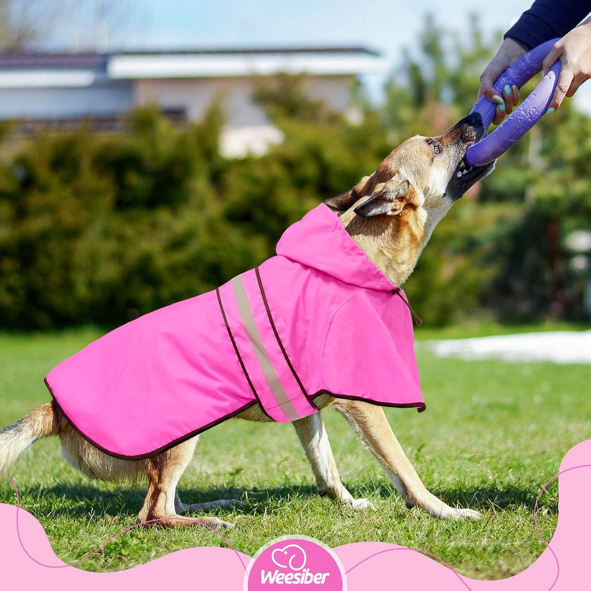 Dog Raincoat, Waterproof Dog Rain Jacket with Leash Hole, Hooded Puppy Rainwear Poncho Slicker for Walking (M, Blue)