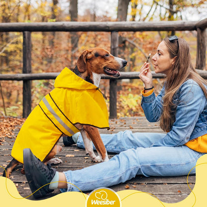 Dog Raincoat, Waterproof Dog Rain Jacket with Leash Hole, Hooded Puppy Rainwear Poncho Slicker for Walking (M, Blue)
