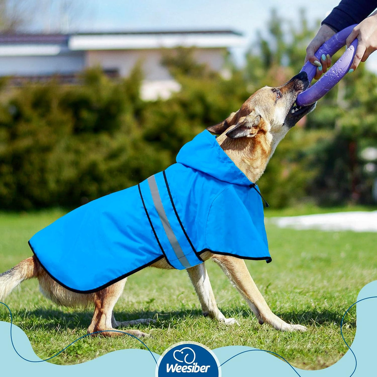 Dog Raincoat, Waterproof Dog Rain Jacket with Leash Hole, Hooded Puppy Rainwear Poncho Slicker for Walking (M, Blue)