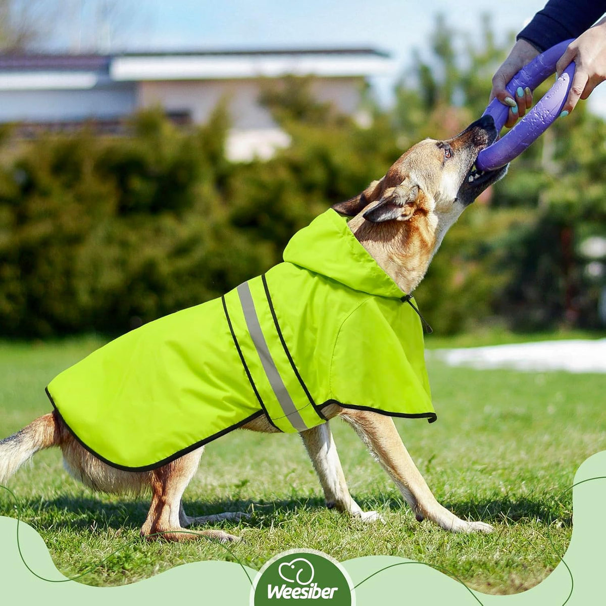 Dog Raincoat, Waterproof Dog Rain Jacket with Leash Hole, Hooded Puppy Rainwear Poncho Slicker for Walking (M, Blue)