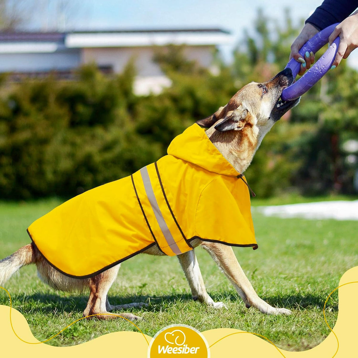 Dog Raincoat, Waterproof Dog Rain Jacket with Leash Hole, Hooded Puppy Rainwear Poncho Slicker for Walking (M, Blue)
