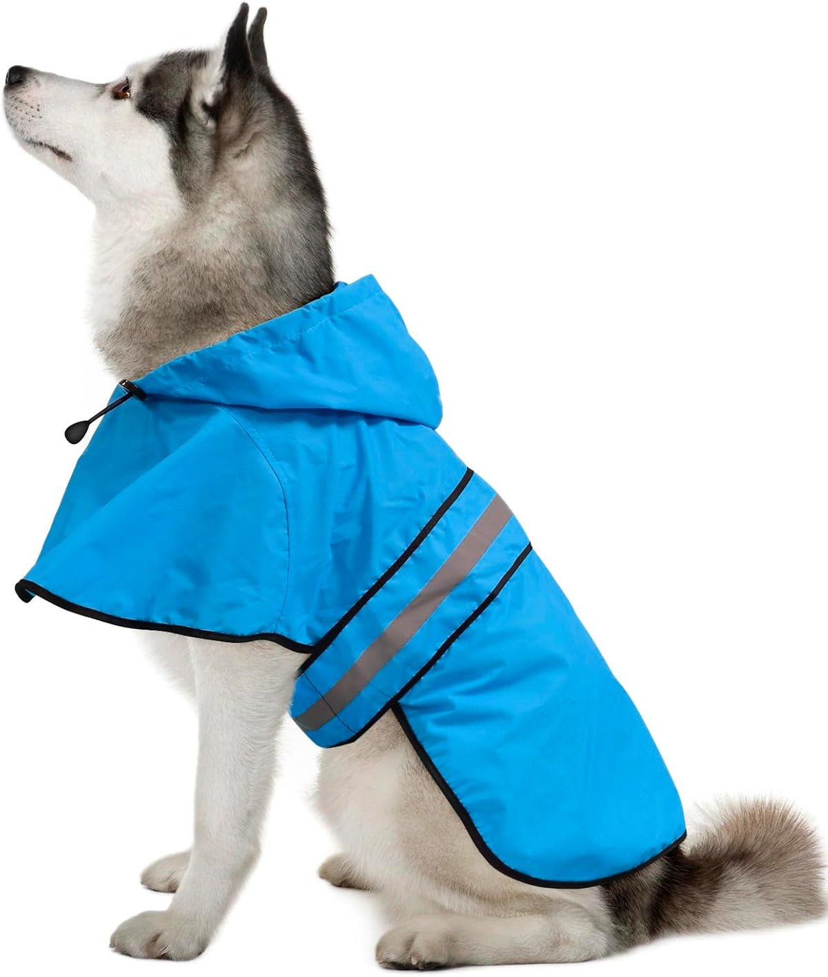 Dog Raincoat, Waterproof Dog Rain Jacket with Leash Hole, Hooded Puppy Rainwear Poncho Slicker for Walking (M, Blue)