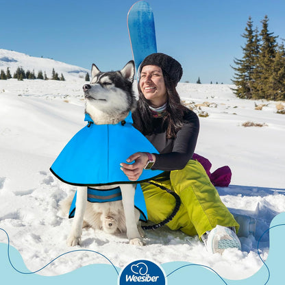 Dog Raincoat, Waterproof Dog Rain Jacket with Leash Hole, Hooded Puppy Rainwear Poncho Slicker for Walking (M, Blue)