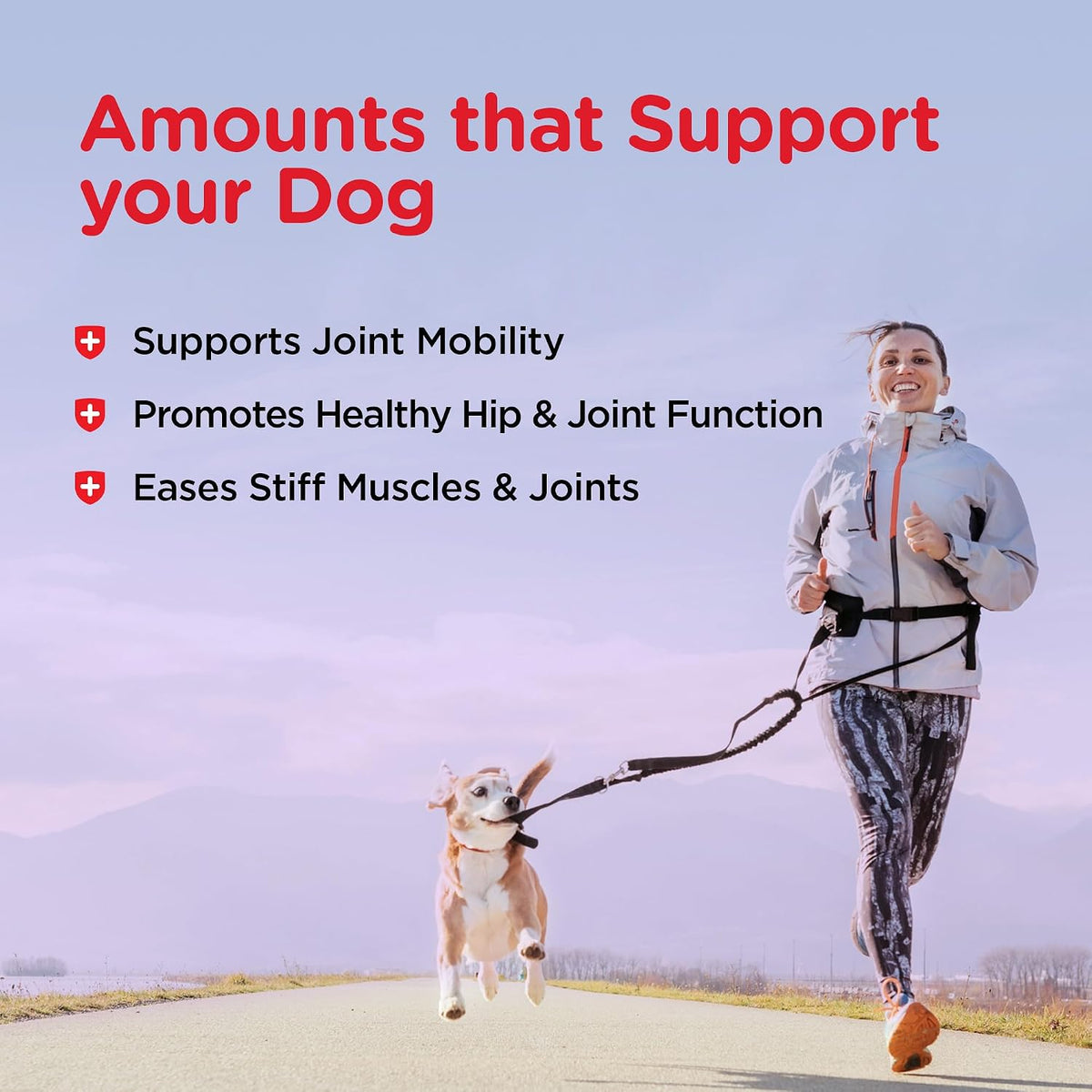 Hip & Joint Dog Biscuits, Dog Treats, 300mg Glucosamine, 6 lb Bag