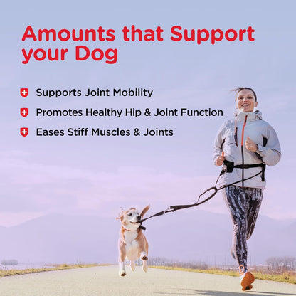 Hip & Joint Dog Biscuits, Dog Treats, 300mg Glucosamine, 6 lb Bag