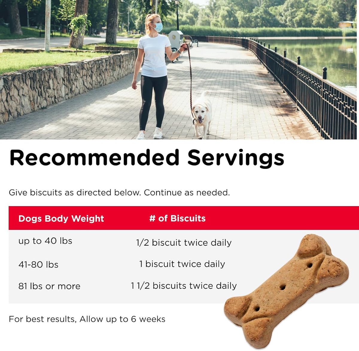 Hip & Joint Dog Biscuits, Dog Treats, 300mg Glucosamine, 6 lb Bag
