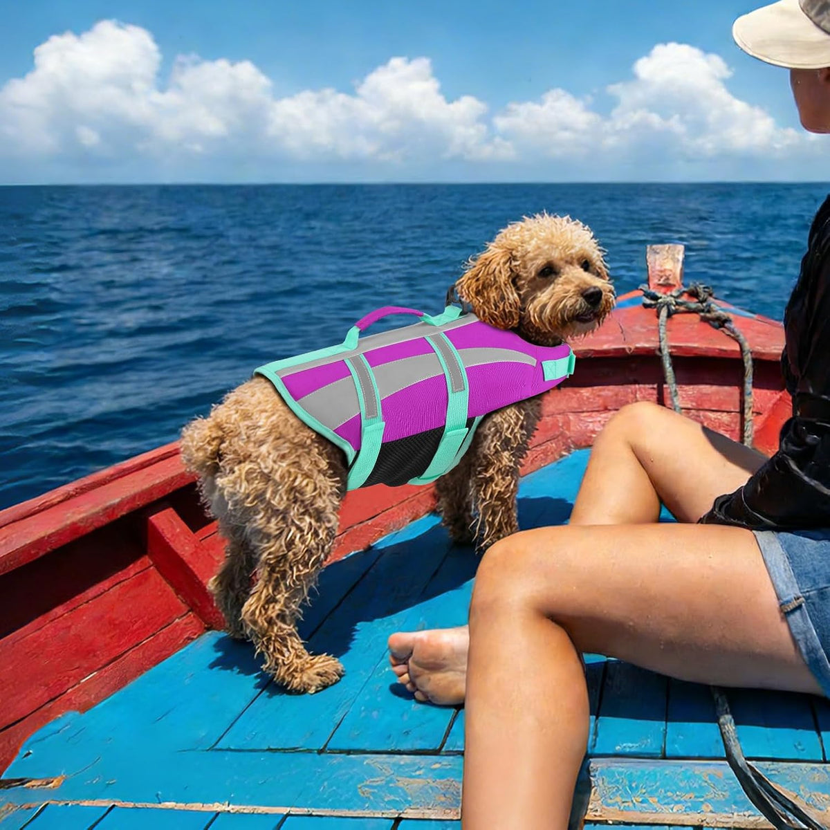 Dog Water Vest, Bright Color Dog Life Jacket for Swimming Boating