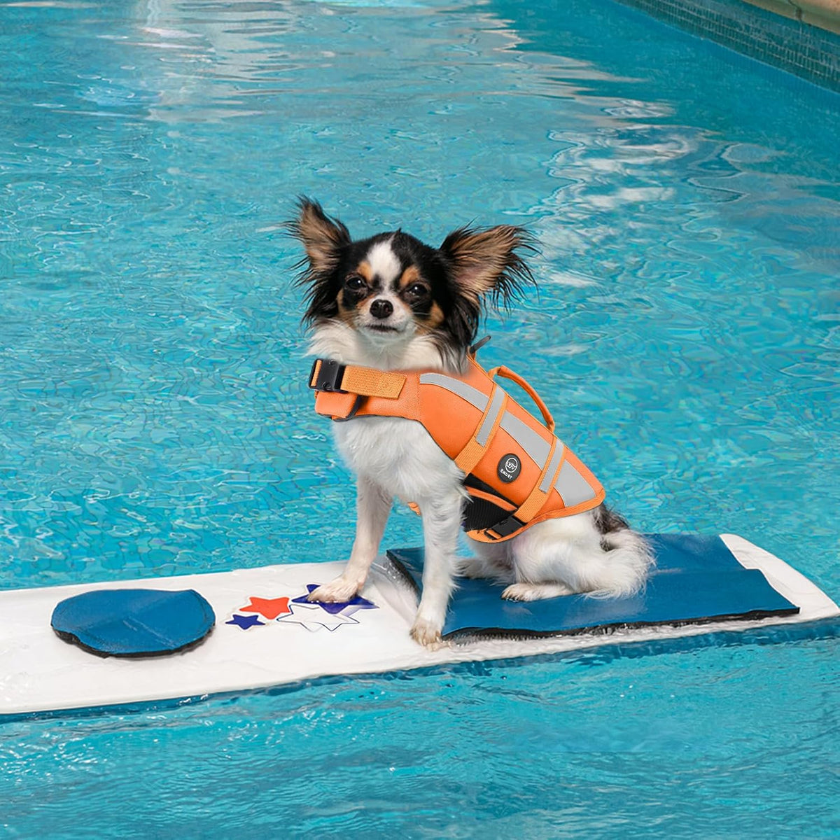 Dog Water Vest, Bright Color Dog Life Jacket for Swimming Boating