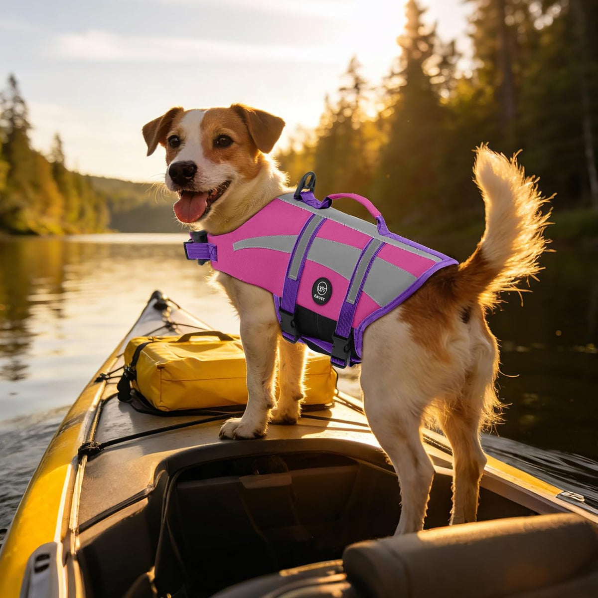 Dog Water Vest, Bright Color Dog Life Jacket for Swimming Boating